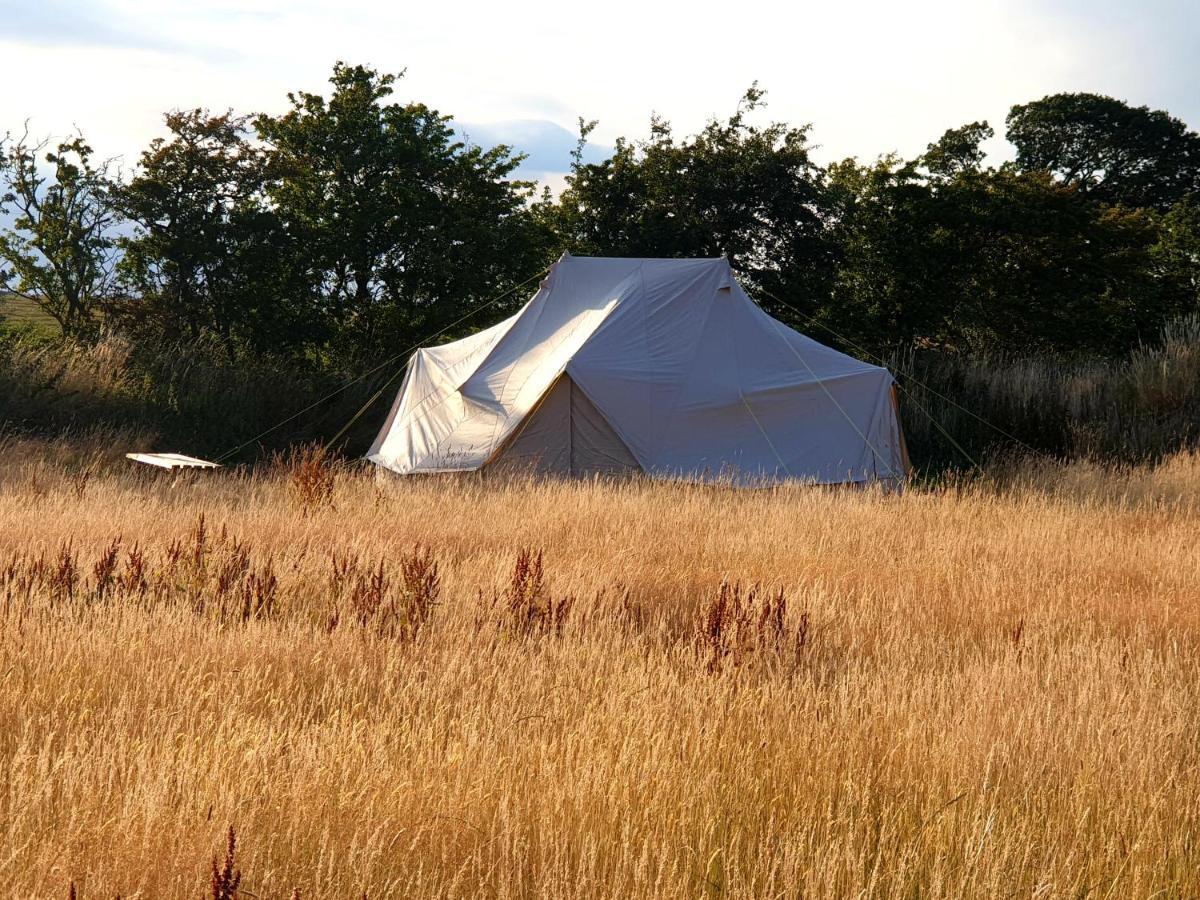 Liverton 6M Emperor Tent Near Whitby With Log Burner מראה חיצוני תמונה